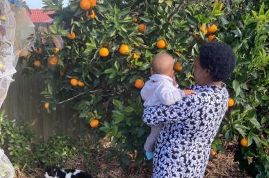 WhatsApp Image 2021-08-29 at 11.16.15 AM (3)