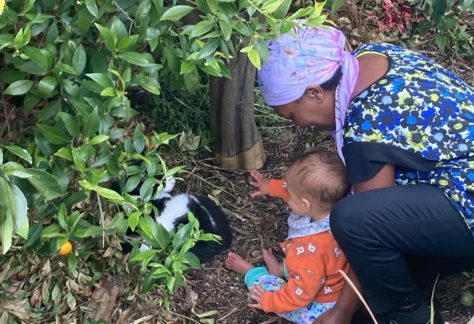 WhatsApp Image 2021-08-29 at 11.16.15 AM (6)